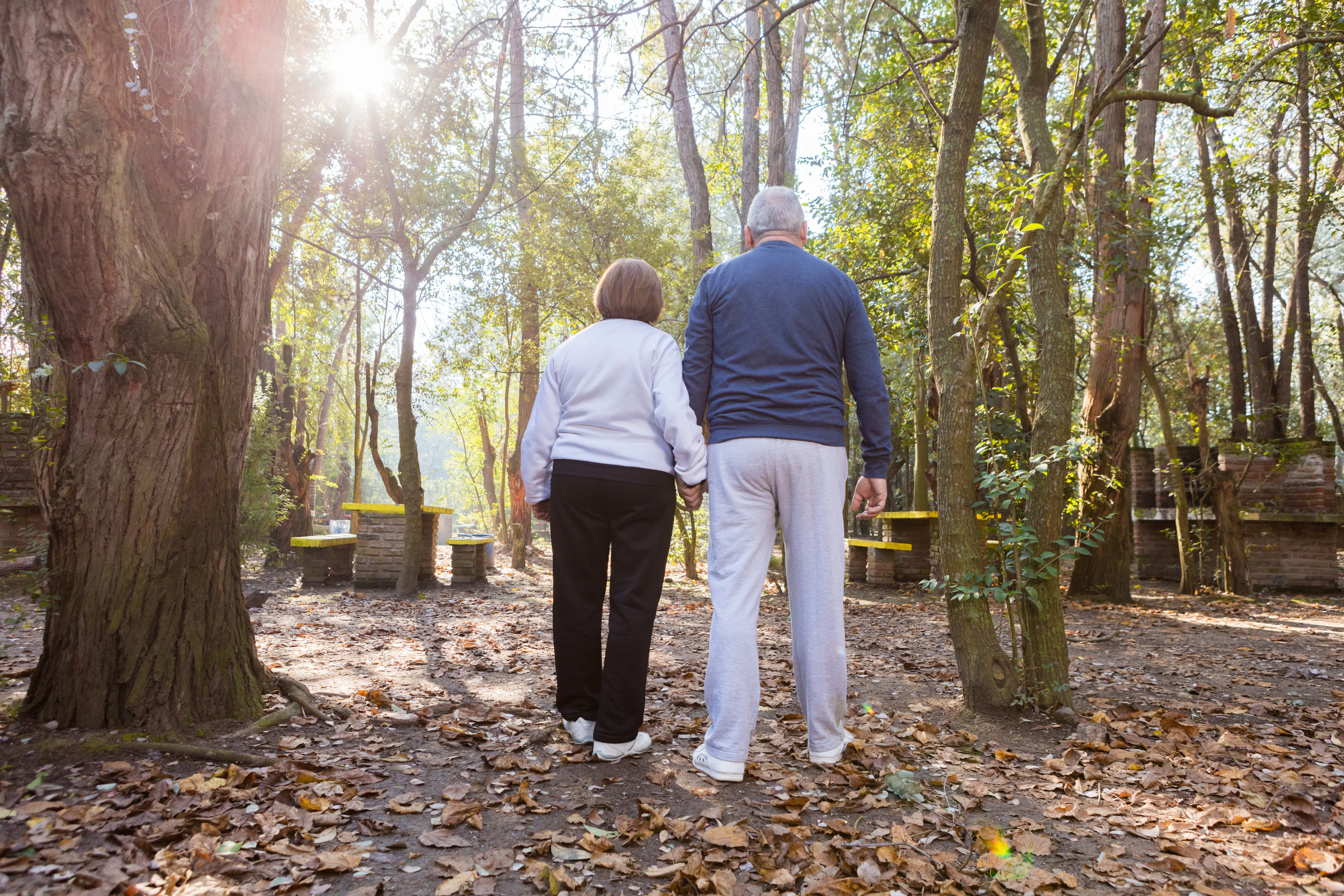 Un couple marche paisiblement dans un parc ensoleillé, symbolisant la sérénité et la préparation à une nouvelle étape de vie. Cette image évoque la préparation à la retraite, soulignant l’importance d’anticiper cette transition pour en profiter pleinement, tant sur le plan financier que personnel.
